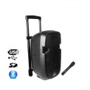 Boxa portabila Ibiza Sound 8",300W, USB/SD/BT/VHF