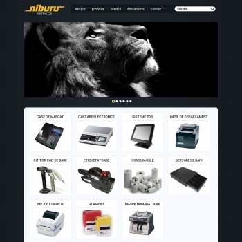 Website pentru firma Niburu Service S.R.L.