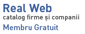 REMSIT WEB SERVICES Logo